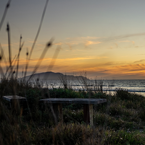 kapiti coast