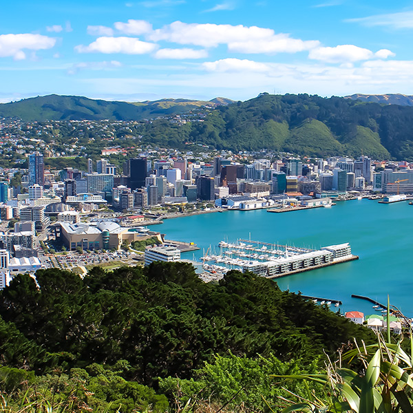 wellington central